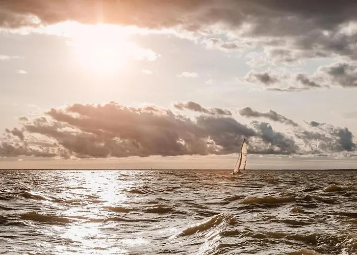 With Sauna And Private Terrace Apartment